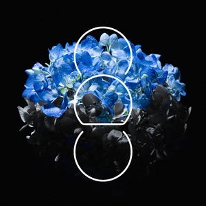 oliviaSparkle无码作品在线
